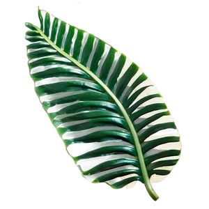 Tropical Leaf Frame Png Hxx PNG Image