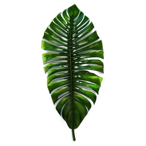 Tropical Leaf Silhouette Png 97 PNG Image