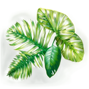 Tropical Leaf Sketch Png Lta PNG Image