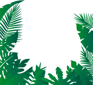 Tropical Leaves Frame Background PNG image with transparent background