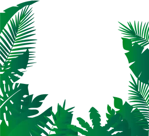 Tropical Leaves Frame Background PNG Image