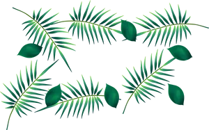 Tropical Leaveson Black Background PNG Image