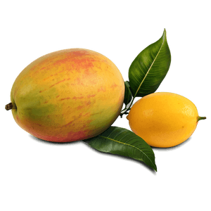 Tropical Mango PNG 05232024 PNG
