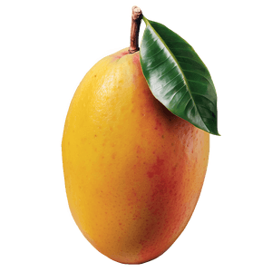 Tropical Mango PNG gbq PNG