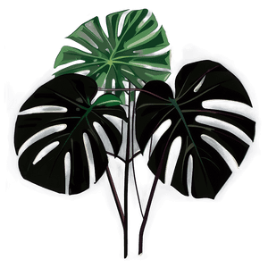 Tropical Monstera Silhouette PNG 25 PNG image with transparent background