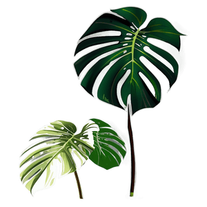 Tropical Monstera Silhouette PNG 63 PNG image with transparent background
