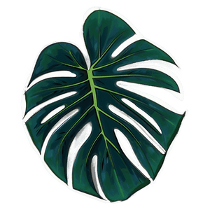 Tropical Monstera Silhouette PNG 79 PNG image with transparent background