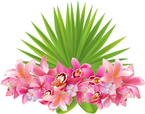 #flowers #tropical #plant #leaves #caribbean #summer - Tropical Flowers Transparent Background, HD Png Download PNG image with transparent background