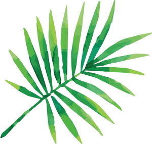 Cropped Bartboard - Tropical Leaves Vector Png, Transparent Png PNG image with transparent background