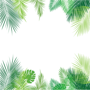 Tropical Leaves Png - Summer Border, Transparent Png PNG image with transparent background