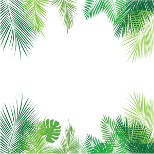 Tropical_ Palm_ Leaf_ Border PNG Image