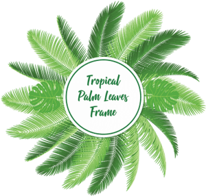 Free Png Download Palm Leaf Vector Png Images Background - Vector Palm Leaves Png, Transparent Png PNG image with transparent background