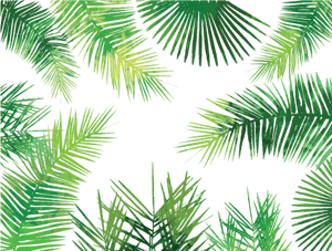 Watercolor Palm Leaves Png - Palm Leaves Pattern Png, Transparent Png PNG image with transparent background