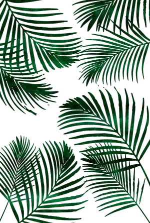 Tropical Palm Leaves Pattern PNG Image