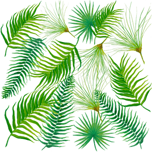Fern Leaves With Flower, HD Png Download PNG image with transparent background