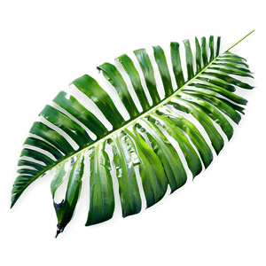 Tropical Palm Leaves PNG 93 PNG image with transparent background