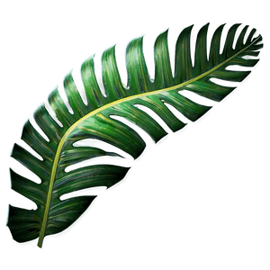 Tropical Palm Leaves PNG jhc PNG image with transparent background