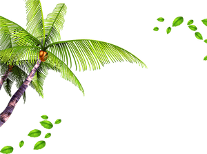 Palm Tree Leaves Background - Leaves Background Png, Transparent Png PNG image with transparent background