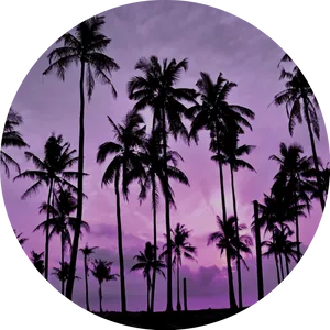 Tropical Palm Silhouettesat Sunset PNG Image