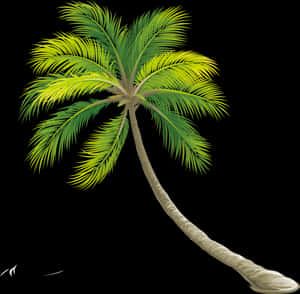 Tree Color Shrub - Transparent Background Palm Tree Png, Png Download PNG image with transparent background