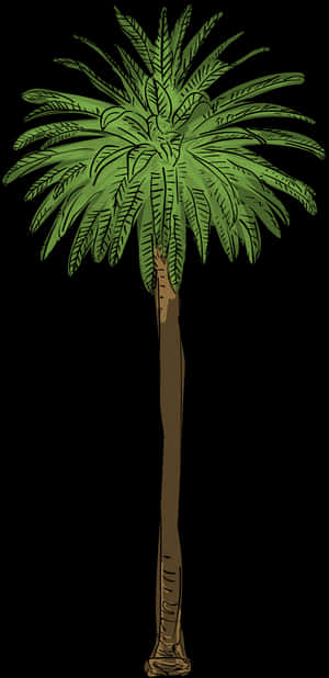 Canary Island Date Palm Png, Transparent Png PNG image with transparent background