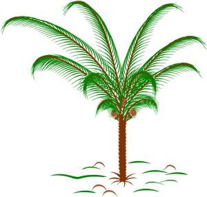 Tree Palm Palm Leaves Plant Png Image - Snow Globe Palm Tree, Transparent Png PNG image with transparent background