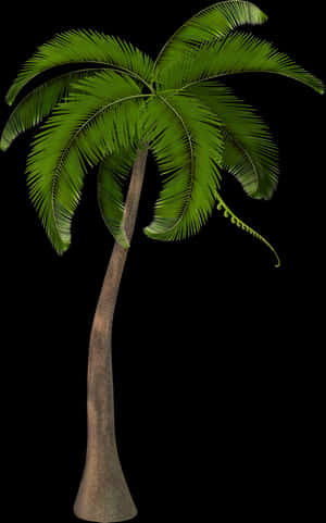 Beautiful Arecaceae Palm Tree Free Frame Clipart - Coconut Palm Tree Png, Transparent Png PNG image with transparent background