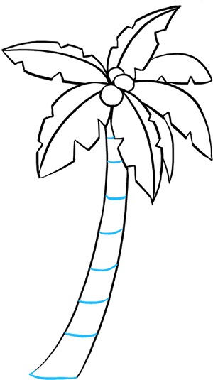 How To Draw Palm Tree - Simple Palm Tree Drawing Easy, HD Png Download PNG image with transparent background