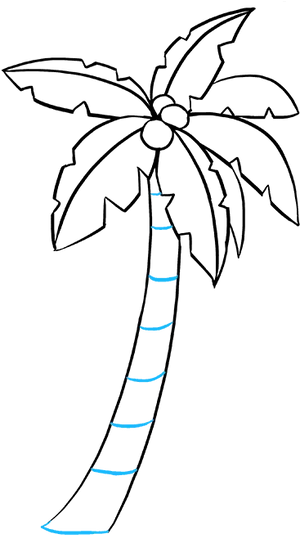 Tropical Palm Tree Line Art PNG Image