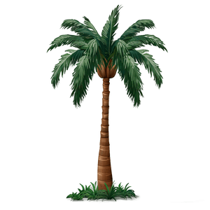 Tropical Palm Tree PNG mij86 PNG image with transparent background