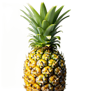 Tropical Pineapple PNG 14 PNG image with transparent background