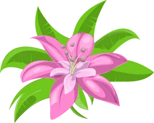 Tropical Pink Flower Illustration PNG Image