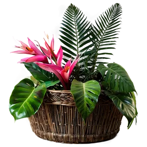 Tropical Plant Arrangement Png 06252024 PNG Image