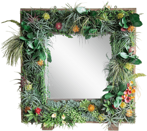 Tropical_ Plant_ Frame_ Mirror PNG image with transparent background