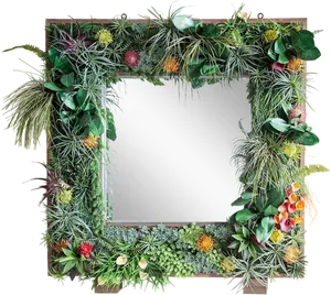 Tropical_ Plant_ Frame_ Mirror PNG Image