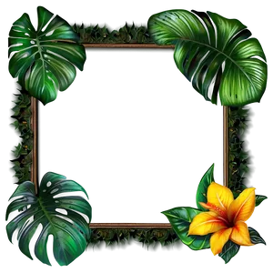 Tropical Plant Frames Png 06252024 PNG Image