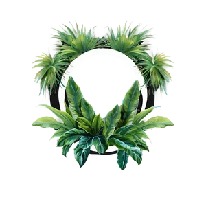 Tropical Plant Frames Png Xvn PNG Image