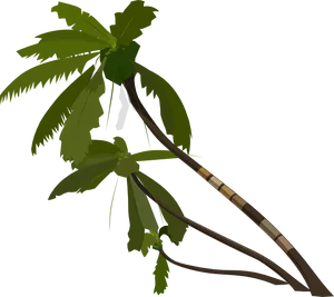 Tropical Plant Illustration PNG Image