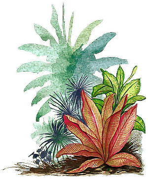 #watercolor #leaves #tropical - Tropical Leaf Png Transparent, Png Download PNG image with transparent background