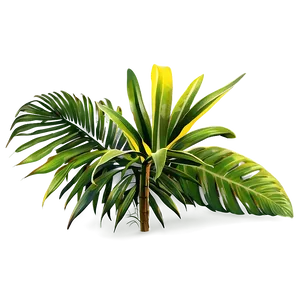 Tropical Plant Landscapes Png 06252024 PNG Image