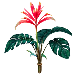 Tropical Plant Set Png 06252024 PNG Image