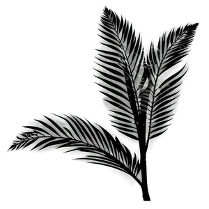 Tropical Plant Silhouette Png Ldq46 PNG Image