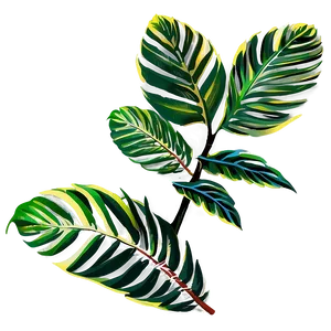 Tropical Plant Sketches Png Nbk PNG Image