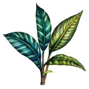 Tropical Plant Watercolor Png Aom PNG Image