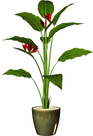 Tropical Plantin Green Pot PNG Image