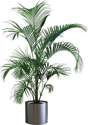 Tropical Plantin Silver Pot PNG Image