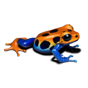 Tropical Poison Dart Frog Png Onm PNG Image