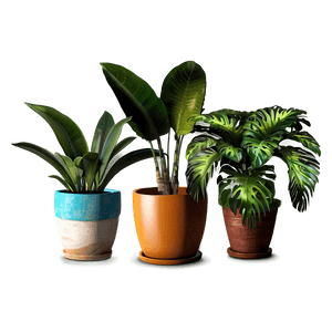 Tropical Potted Plants PNG 06122024 PNG
