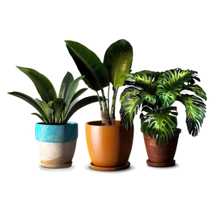 Tropical Potted Plants Png 06122024 PNG Image