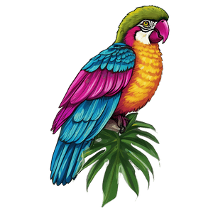 Tropical Print PNG 76 PNG with transparent background